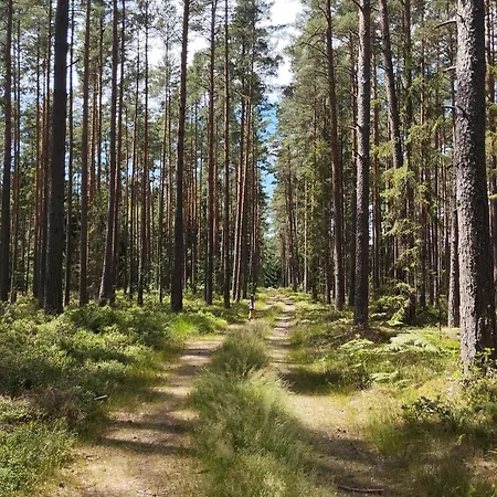 Apartamento Mírek